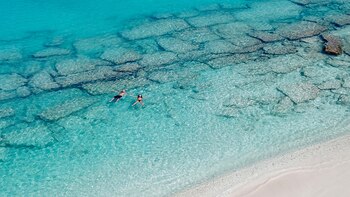 A través de la plataforma,