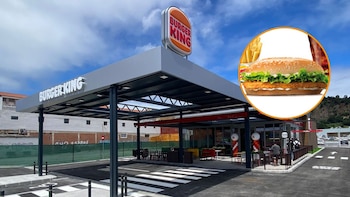 Procedente el despido de una