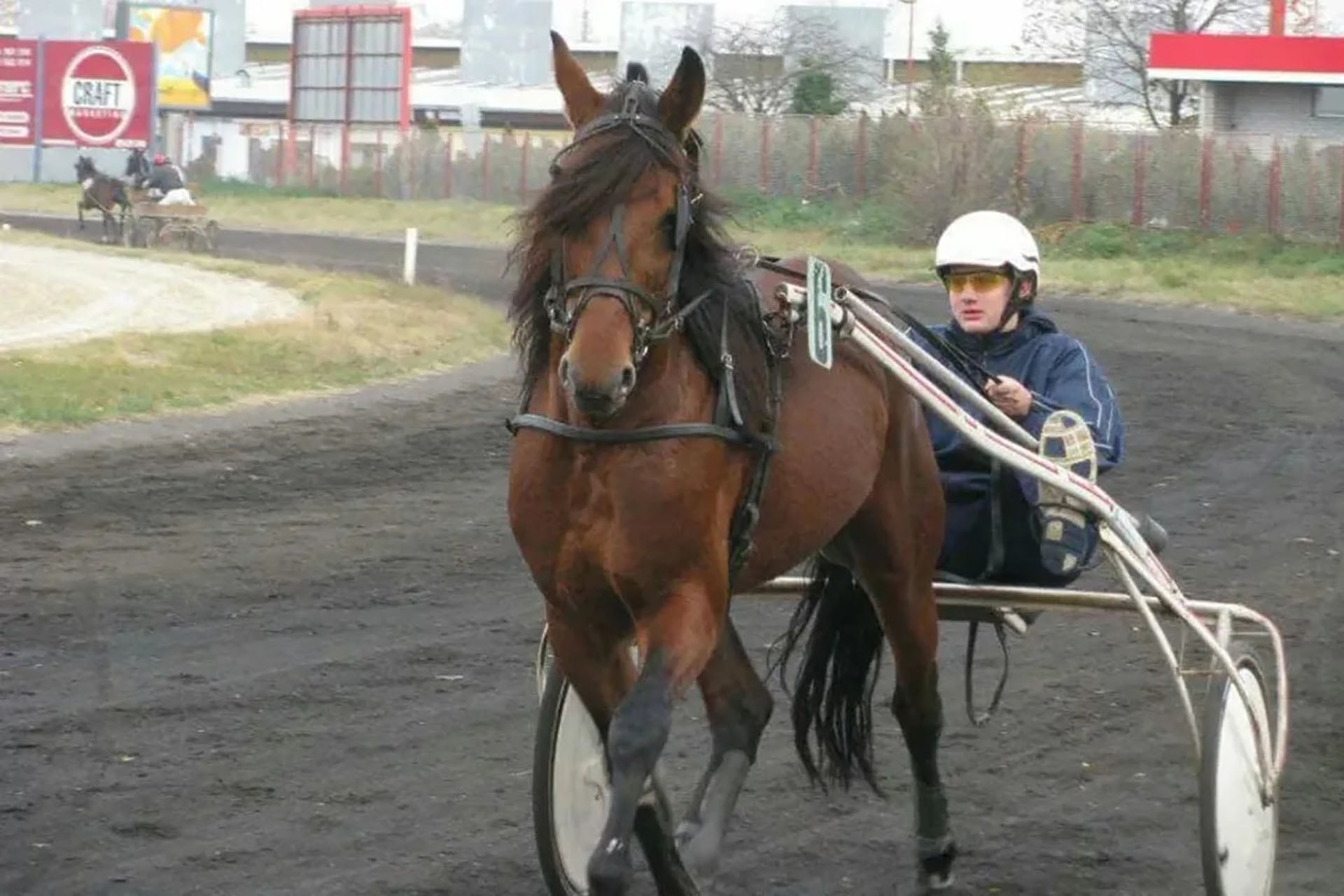 La conexión de Nikola Jokić con los caballos trasciende su carrera deportiva y forma parte esencial de su identidad (The Players Tribune)