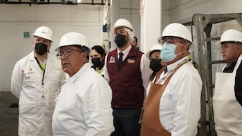 Por el gusano barrenador todavía