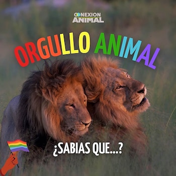 El posteo por el Día