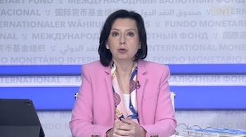 Mujer con blazer rosa y pañuelo estampado habla. Fondo del Fondo Monetario Internacional con su logo y texto multilingüe. Se ven una tableta y un cuaderno