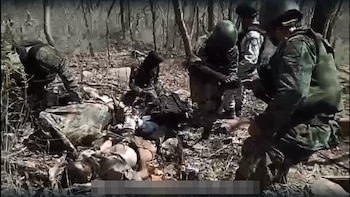 Estas son las imágenes que