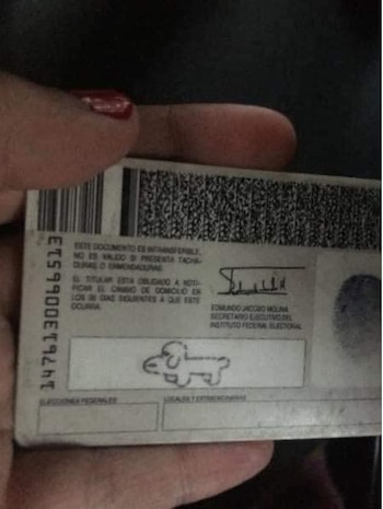 Usuarios en rede sociales viralizaron