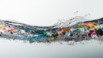 El inesperado vínculo entre los