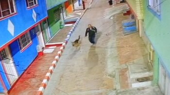 Todo quedo en video: este