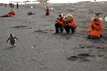 Encounters at the End of