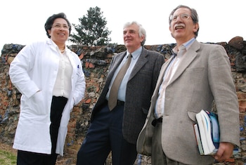 Los docentes también pueden trabajar