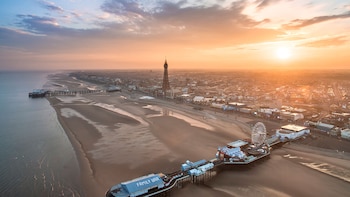 Un grupo de voluntarios entierra