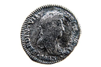 Se han hallado más de