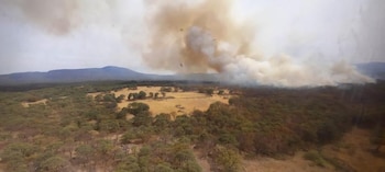 La columna de humo y