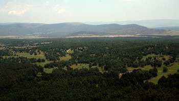 Los candidatos a la Presidencia