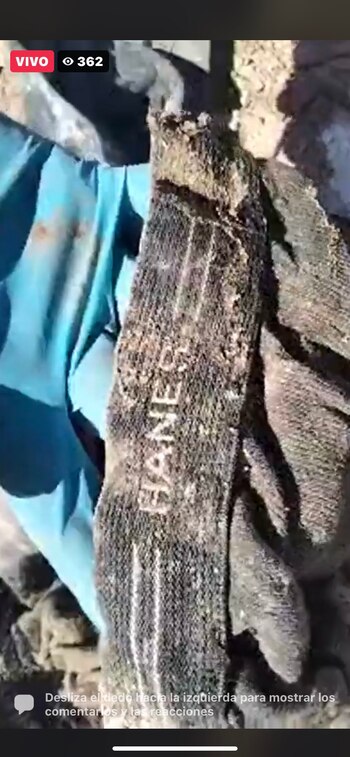 Foto: @buscadorasonora / Twitter.