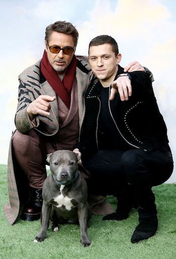 Solo siete actores lograron audicionar