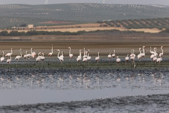 Imagen BODQ4FSPXRAKNCC2B6TEGFKHDM