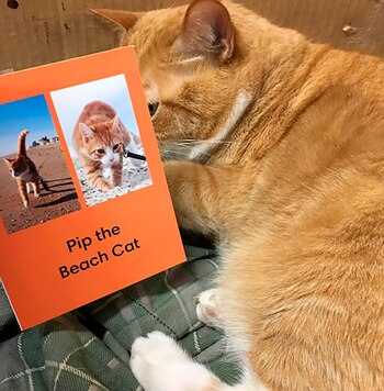 La amorosa personalidad de Dude