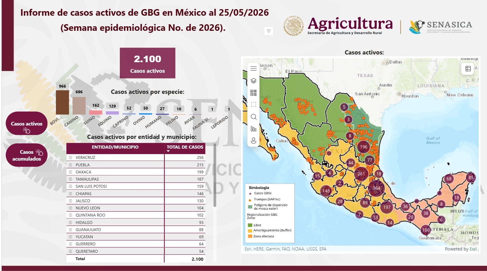 Avance del Gusano Barrenador en México.