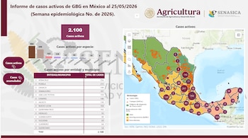 Avance del Gusano Barrenador en México.