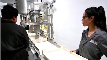 Gusano barrenador: gobierno federal espera producir 100 millones de moscas estériles por semana a finales de 2026.