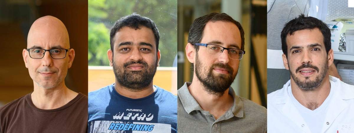 Los autores del estudio: (izq.) Prof. Gad Asher, Dr. Nityanand Bolshette, Dr. Gal Manella y Dr. Saar Ezagouri (Instituto Weizmann)