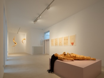 “À Gisèle”, una muestra sobre