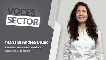 Adaptación constante y criterio profesional: