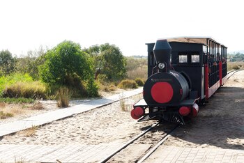 El pequeño tren de la Playa de Barril (Shutterstock)