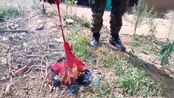 Continúa la preocupación en El