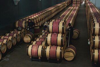 Una bodega de vino francesa.
