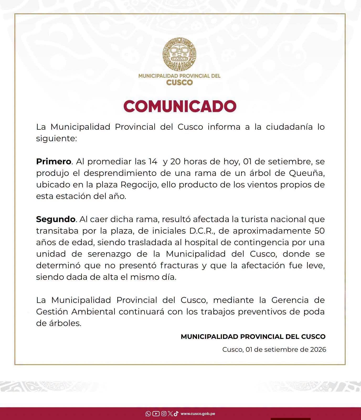 Turista sufrió lesiones leves tras desprendimiento de una rama en Cusco| Foto: Municipalidad Provincial de Cusco