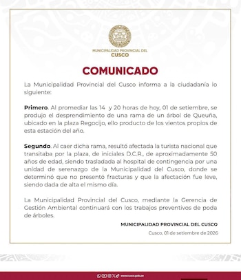 Turista sufrió lesiones leves tras desprendimiento de una rama en Cusco| Foto: Municipalidad Provincial de Cusco