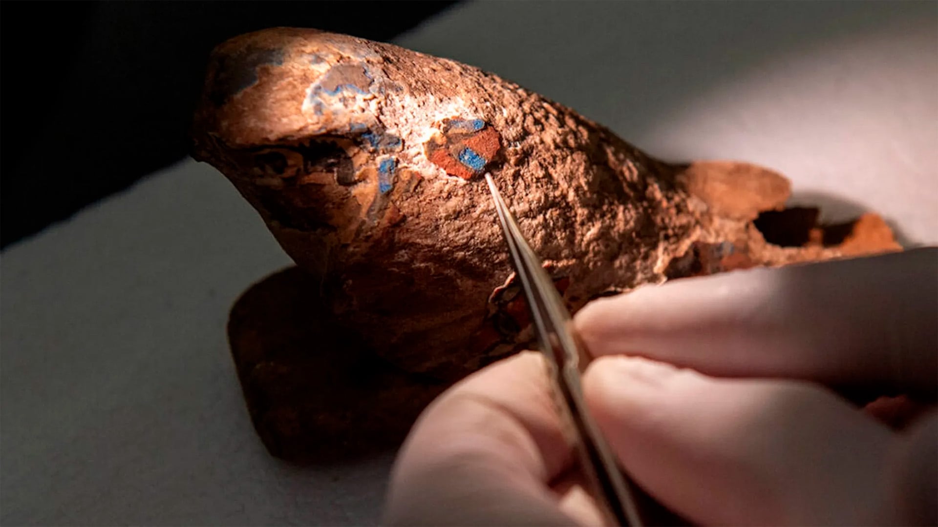 La fórmula del mítico “azul egipcio” se perdió tras la caída del Imperio Romano (Matt Unger / Carnegie Museum of Natural History)