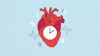 Cuántos latidos por minuto indican un corazón saludable en reposo y qué puede alterar ese valor