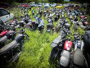 Las autoridades policiales recuperaron 396 automotores robados, cifra equivalente al 54,4 por ciento de las denuncias.