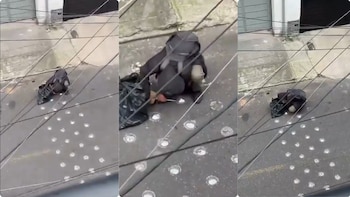 En video, se están robando los reductores de velocidad en Bogotá: captaron a habitante de calle desprendiéndolos del piso