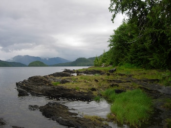 Costa rocosa con hierba verde, junto a un lago tranquilo. Un bosque denso se extiende a la derecha, con montañas y un cielo nublado al fondo