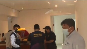 Peritos hallaron una cantidad insólita