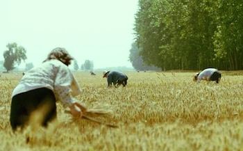 Una imagen de la película china 'Vivir la tierra' (Avalon)