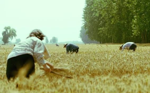 Una imagen de la película china 'Vivir la tierra' (Avalon)