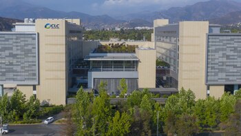 La querella contra el ahora