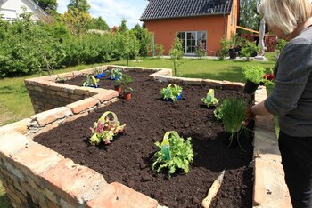 ARCHIVO - El sustrato vegetal