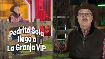 Cuáles serán las funciones de Pedro Sola en La Granja VIP: ¿Es castigo de TV Azteca tras polémica de envenenar perros?