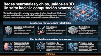 Infografía horizontal con el título 'Redes neuronales y chips, unidos en 3D' y esquemas ilustrativos de neuronas, circuitos electrónicos y estructuras tridimensionales.