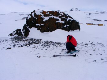 Fotografía cedida por la bióloga