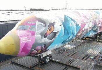 Así luce el avión que