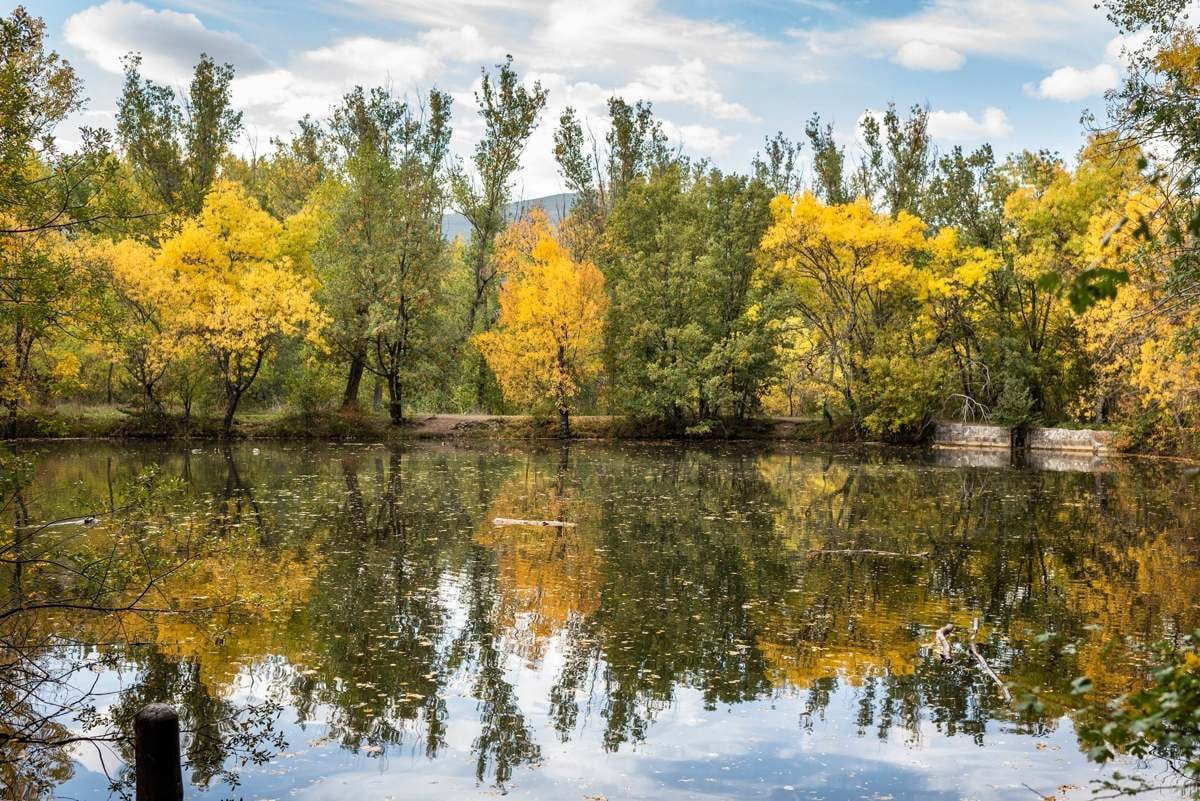 El Bosque Finlandés, en Rascafría (Sierra de Guadarrama).