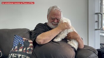 Paws of War, Veteranos