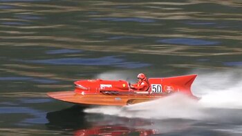 Un pura sangre en el