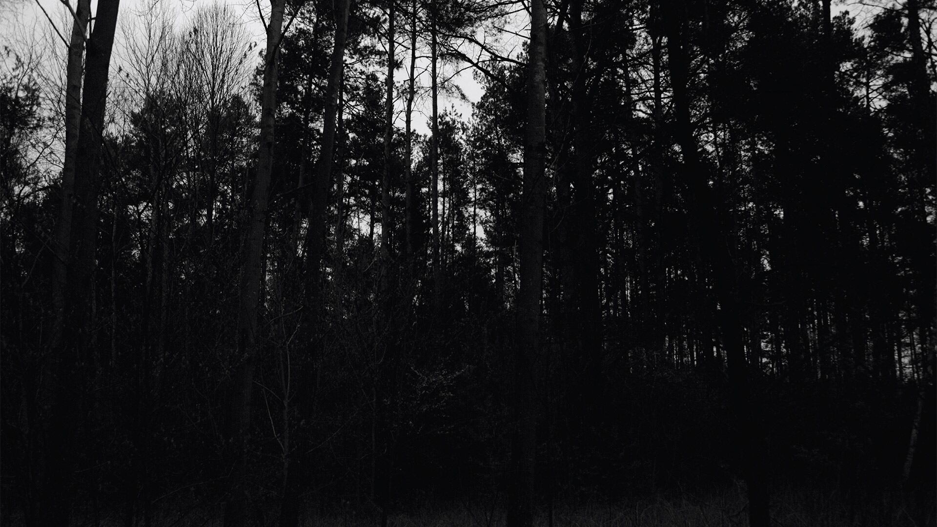Campo de exterminio de Treblinka, el segundo campo de exterminio más mortífero construido y operado por el nazismo en Polonia durante la Segunda Guerra Mundial, donde la madre y hermanos de Francisco fueron asesinados