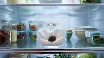 Interior de un refrigerador con un estante. Bolsa transparente con cierre hermético, toalla de papel húmeda, semilla de durazno, etiqueta "OCT 26", recipientes de comida.